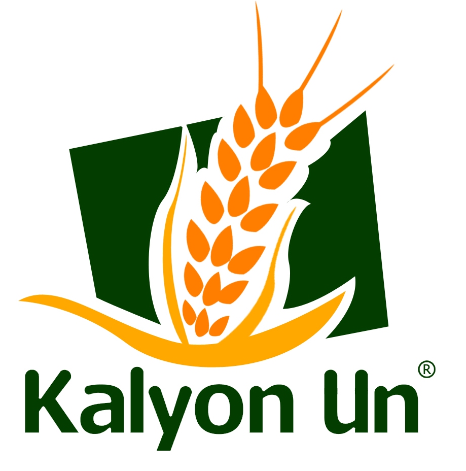 Kalyon Un Logo